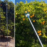 EVERSPROUT 12-Foot Fruit Picker (20+ Foot Reach) | Telescoping Fruit Picker Pole, Easy to Attach Twist-On Apple Basket | Lightweight, High-Grade Aluminum Extension Pole with Fruit Picker Basket