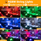 Ollny Christmas Lights Outdoor 30FT RGBW, Color Changing String Light with 20 Edison + 1 Spare G40 LED Bulbs, Plug in Remote Waterproof Connectable Timers Patio Lights for House Indoor Outside