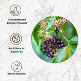 Go Nutra Siberian Ginseng Powder 4:1 Extract 4X Times Stronger Eleuthero Root Extract Non-GMO 4oz