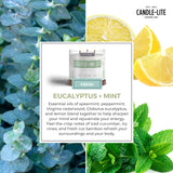 Essential Elements by Candle-lite Scented Candles, Eucalyptus & Mint Leaf Fragrance, One 14.75 oz. Three-Wick Aromatherapy Candle with 45 Hours of Burn Time, Off-White Color