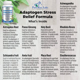 Adaptogen Stress Relief Immune Support Formula - Adaptogenic Adrenal Support with Ashwagandha, Astragalus, Ginseng, Holy Basil, Rhodiola, Amla, Maca, Schisandra, Non-GMO - 60 Capsules