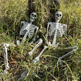 5.4Ft/165cm Halloween Skeleton Full Body Life Size Human Bones with Movable Joints for Indoor Outdoor Halloween Props Decorations