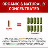 Organic Moringa Capsules Organic - Moringa Oleifera Capsules | Natural Herbal Supplement from Moringa Leaves | Certified USDA Organic | Vegan | Moringa Leaf Capsules Superplant | 60 Moringa Pills