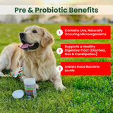 PawMedica Dog Probiotics and Digestive Enzymes, Probiotics for Dogs Made in USA, Pet Probiotic Chews for Dogs, Prebiotics & Probiotic Dog Digestive Support, Probiotic Treats - 60 Dog Probiotic Chews