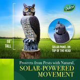 Dalen SOL-R Action Solar Fake Owl Decoy to Scare Birds Away from Gardens, Rooftops, and Patios - Safe and Humane, 18" 360º Rotating Head