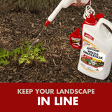 Spectracide Weed and Grass Killer 1 Gallon, AccuShot Sprayer Refill