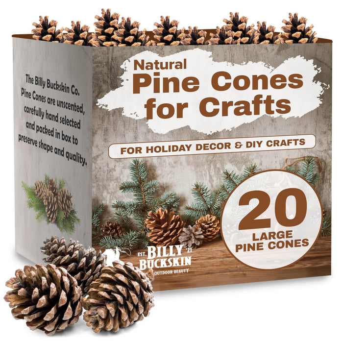 Billy Buckskin 20 Large Natural Pine Cones for Crafts, 3" to 4" Tall