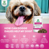 Doggie Dailies Skin & Coat Supplement + Antioxidant Support, 225 Soft Chews, Salmon Oil for Dogs Skin and Coat with Collagen, Omega 3, Krill Oil, Biotin, & Coconut Oil for Dogs