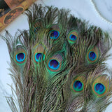 THARAHT 24pcs Peacock Feathers Long Natural in Bulk 25-30 inch 60-70 cm for Craft Vase Wedding Home Party Christmas Day Decoration Peacock Feathers