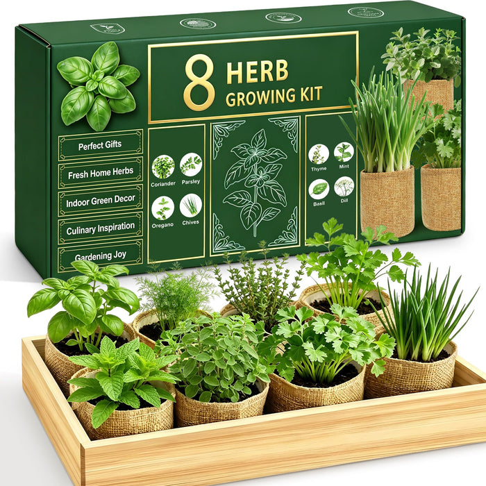 Indoor Herb Garden Kit, Culinary Herb Starter Kit with Seeds & Tools for Beginners, Kitchen Decor, House Warming Gifts for New Home, for Christmas, Ultimate Birthday Gifts for Women Men Mom Dad