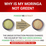 Organic Moringa Capsules Organic - Moringa Oleifera Capsules | Natural Herbal Supplement from Moringa Leaves | Certified USDA Organic | Vegan | Moringa Leaf Capsules Superplant | 60 Moringa Pills