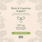 Gaia Herbs Mental Alertness - Brain Support Supplement to Help Maintain Focus & Memory* - with Eleuthero, Ginkgo Leaf, Gotu Kola, Rosemary & Oats - 60 Vegan Liquid Phyto-Capsules (15-Day Supply)