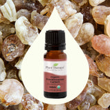 Plant Therapy Organic Frankincense Carterii Essential Oil 100% Pure, USDA Certified Organic, Undiluted, Natural Aromatherapy, Therapeutic Grade 10 mL (1/3 oz)