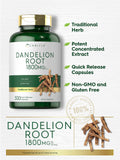 Carlyle Dandelion Root | 1800mg | 300 Capsules | Non-GMO, Gluten Free Supplement