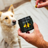 Ultra-Healthy Omega 3 Fish Oil Treats w/ MSM, Glucosamine, Chondroitin, EPA/DHA for Dogs: Elevated Pets Fish Oil, Turmeric & Joint Supplement + Allergy Chews - Ultimate Dog Vitamin Supplement