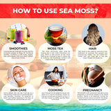 Irish Sea Moss Gel Organic Raw - Wildcrafted Superfood Seamoss Gel - Strawberry Flavor, Vitamin and Mineral-Rich from Pristine Caribbean Waters, Immune and Digestive Health Support - 10 oz.