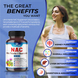 NAC Supplement N-Aetyl Cysteine 22,900MG Enriched with Milk Thistle, Quercetin - Support Immunity, Respiratory Health & Liver Detox | 150 Capsules