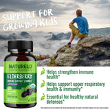 NATURELO Elderberry Gummies – Immune Support with Sambucus Elderberry + Vitamin C + Zinc – Certified Organic, 60ct