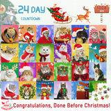 Bestbase Advent Calendar 2024 Christmas Countdown Jigsaw Puzzles - Christmas Cats, 24 Boxes with 1008 Pieces Countdown to Christmas Puzzle, Christmas Decorations Christmas Gifts for Adults Kids