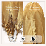 FeelfunFeather 120pcs Gold Goose Feathers 6-8 Inch 15-20cm Decorative Natural Goose Nagoire Feather Bulk for DIY Crafts Cosplay Wedding Party Christmas Halloween Home Decoration