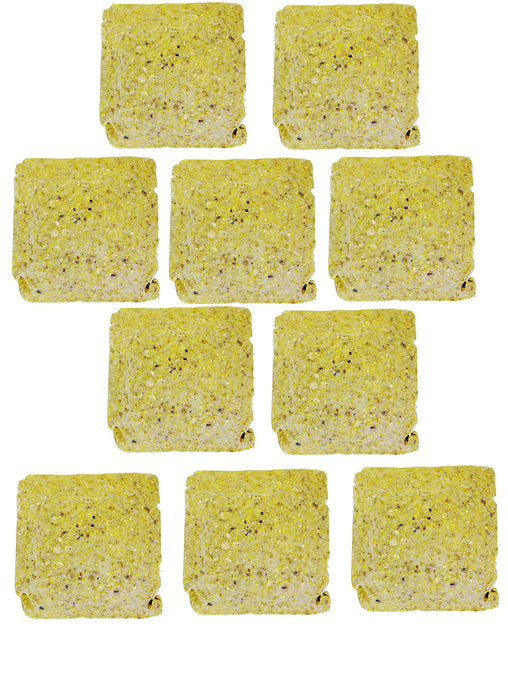 ST. ALBANS BAY SUET PLUS Suet Cake Variety Packs | 11 oz. Wild Bird Suet Cakes | (Pecan, 10 Pack)