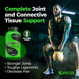 Species Nutrition Arthrolyze Joint Repair Supplement, Fortified with UC-II Collagen, MSM, Glucosamine, Chondroitin, High Potency Connective Tissue & Joint Support (300 Capsules)