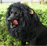 Onmygogo Lion Mane Wig for Dogs with Ears, Funny Pet Costumes for Halloween Christmas (Size M, Black)