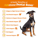 Zesty Paws Dental Bones for Medium Sized Dogs - Fights Tartar & Plaque - Gum, Teeth & Bone Health - Cinnamon for Dog Breath - Immune, Joint, Gut, Skin & Coat Support - Omega 3 EPA & DHA - 12 ct