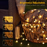 BrizLabs String Lights Warm White, 65.6ft 200 LED String Lights with Remote, 8 Modes Christmas Globe Lights, Dimmable Xmas Tree Ball Lights Outdoor Mini Globe Light for Christmas Tree Home Party Patio