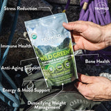 TruWild Greens Superfood Juice Powder, w/ 22+ Greens & Anti-Oxidants, Green Juice Powder, Natural Immune, Stress, Digestion Support Powder - 30 Servings-1 Pack