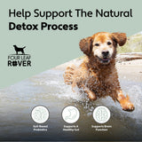 Four Leaf Rover Protect - Soil-Based Probiotics for Dogs with Food-Based Prebiotics for Gut Health and Immune Support - 12 to 60 Day Supply, Depending on Dog’s Weight - Vet Formulated