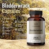 HERBAMAMA Bladderwrack Capsules - Organic Bladderwrack Powder Supplement - Dr Sebi Bladderwrack Leaves Pills 1200mg, 100 Caps