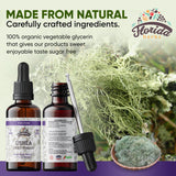 Usnea Tincture Alcohol Free, Organic Usnea Extract (Usnea barbata) Dried Thallus Herbal Supplement, Non-GMO in Cold-Pressed Organic Vegetable Glycerin, 700 mg, 2 oz (60 ml)