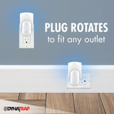 DynaTrap DT3005W-DS3 Fruit Fly, Gnat, Moth and Fly Discreet Outlet Trap - 3 Pack