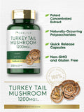 CARLYLE Turkey Tail Mushroom 1200mg - 200 Capsules