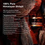 Be Bodywise Pure Himalayan Shilajit Resin Gold - Pack of 2 I Lab Tested I Ashwagandha, Gokshura I Fulvic Acid & Trace Minerals I for Men & Women | Zero Sugar I 100% Organic & Natural I 60 gm.