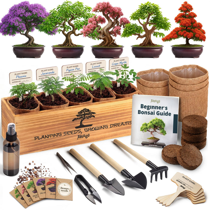 Bonsai Tree Kit Deluxe - Growing 5 Unique Japanese Bonzai Trees