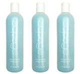 AQUAGE Equalizing Detangler Rinse Out 12 oz -Pack of 3