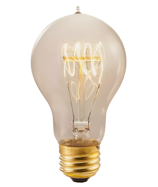 Bulbrite 132520 Edison Antique Nostalgic Filament Bulb A19 Medium E26 25W 120V