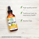 BOTANICA Choice Mullein Leaf Liquid Extract 1 Oz