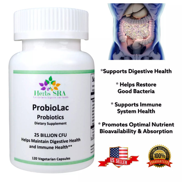 LACTOBACILLUS FERMENTUM, BIFIDOBACTERIUM BREVE, 120 capsules, Digestive Health.