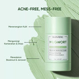 SKINTIFIC Mugwort Acne Clay Stick 40g