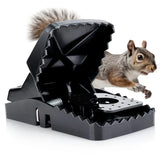 EXUBY Squirrel Trap (2 pack) - Powerful Spring - 96% Instant Kill - Easy Setup