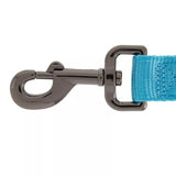 Top Paw Gunmetal Double Nylon Dog Leash: 6-ft long, 1-in wide - Aqua/Teal