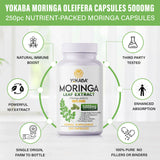 YOKABA Moringa Oleifera Leaf Powder 500mg Capsules - 250 Count