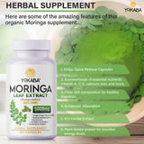 YOKABA Moringa Oleifera Leaf Powder 500mg Capsules - 250 Count