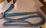 Top Paw Gunmetal Double Nylon Dog Leash: 6-ft long, 1-in wide - Aqua/Teal