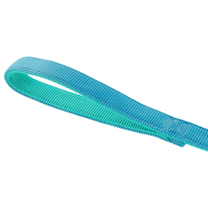 Top Paw Gunmetal Double Nylon Dog Leash: 6-ft long, 1-in wide - Aqua/Teal