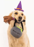 ZIPPY PAWS Halloween Costume Kit Witch Costume for Dogs, One Size Fits All