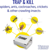 TERRO T3206 Spider & Insect Trap (4 Count) … (Pack of 2)